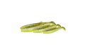 Savage Gear Gumová Nástraha Cannibal Shad Green Pearl Yellow