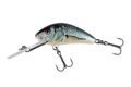 Salmo Wobler Hornet Floating Real Dace