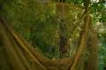 Nash Podběrák Scope OPS Retract Landing Net 42"