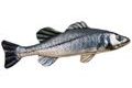 Gaby Polštář Sea Bass (Mořský vlk) 70 cm