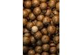 LK Baits Boilies Tester Series_01 Pure Signal