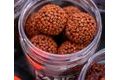 Chytil Boilies Pandemia 20mm 100g