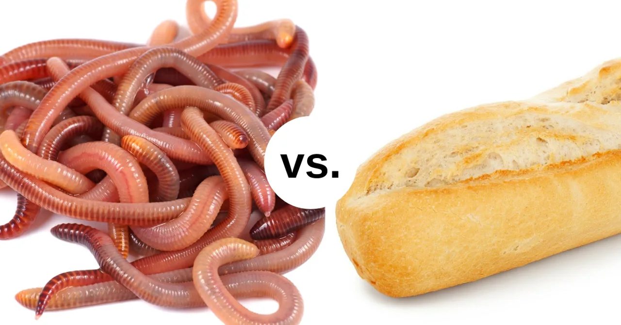 Mäso alebo pečivo? Naservírujte rybe to pravé.