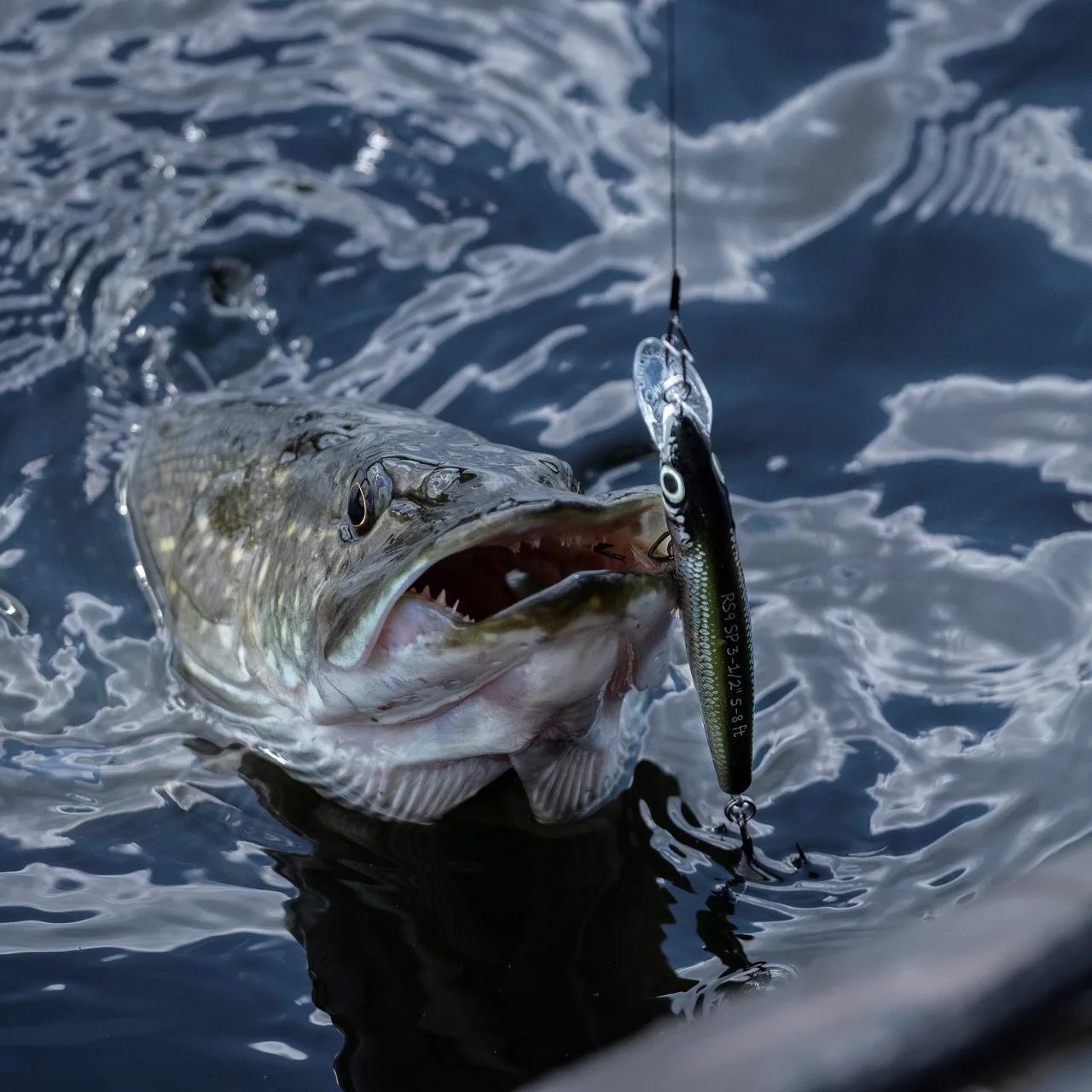 Umelé nástrahy na dravce: woblery, twistery, plandavky, blyskáče, imitácie