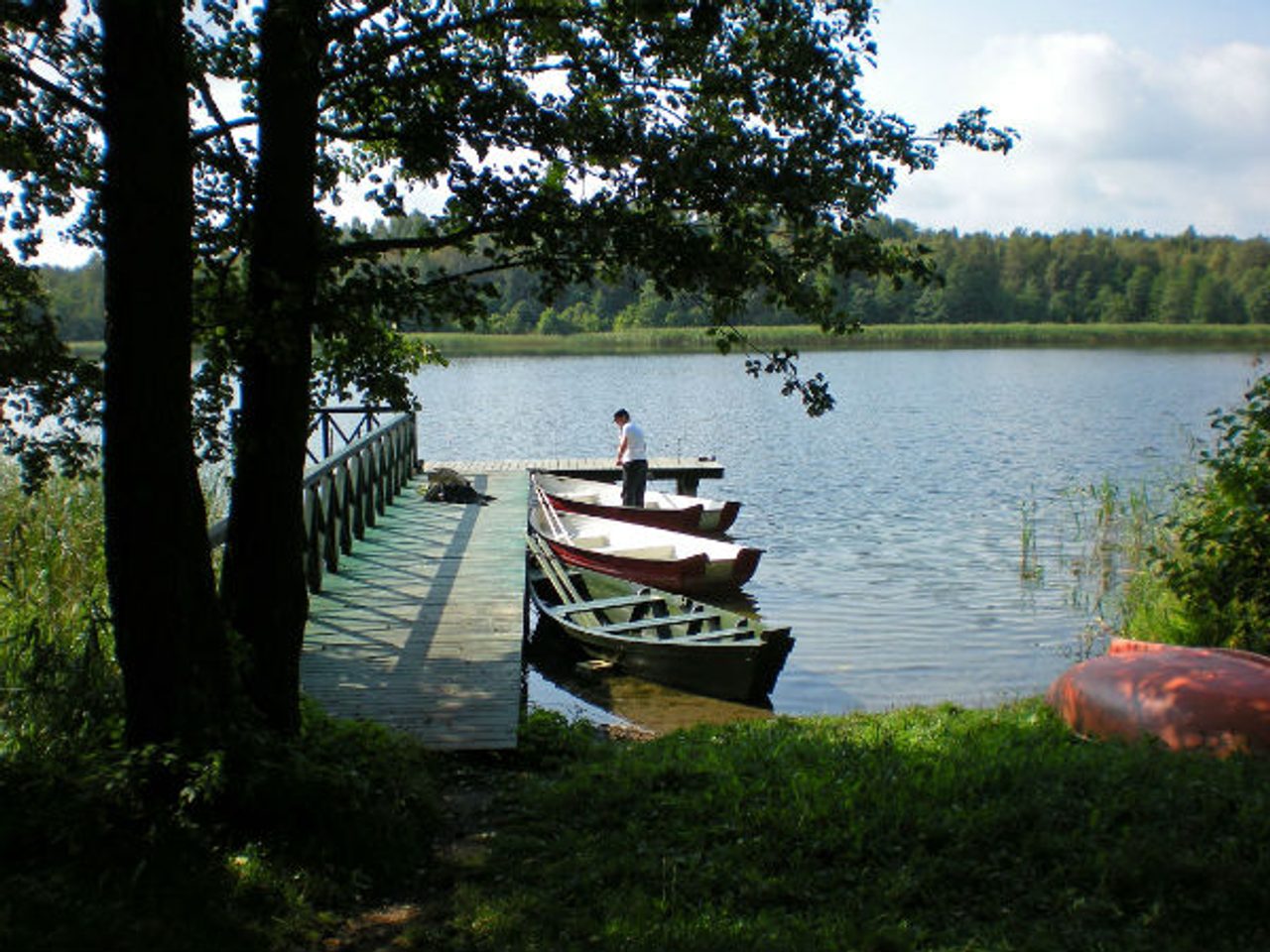 Najlepšie spôsoby lovu ostrieža? Poznáme ich a prezradíme vám, ako na to!