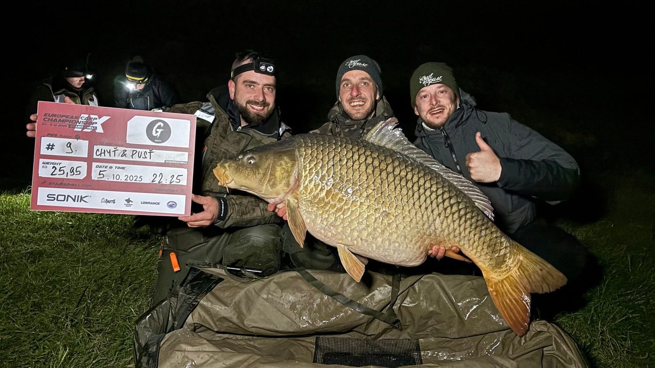 Jaký byl rok 2025 s Chyť a pusť