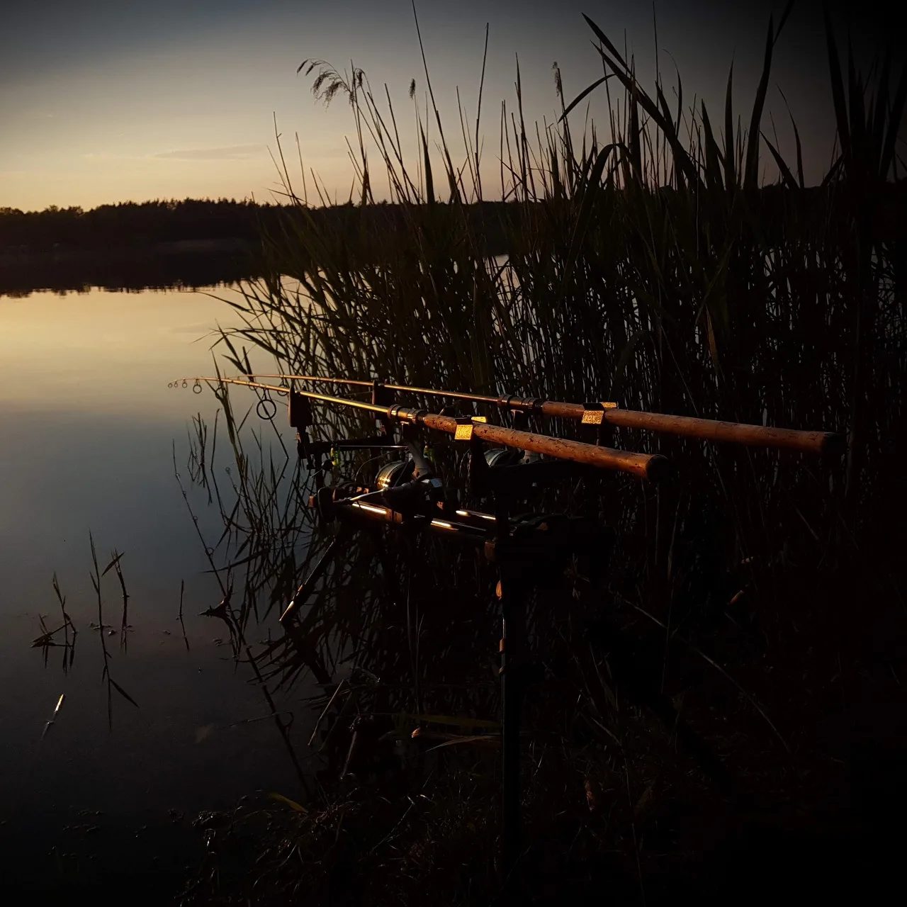 Zoznámte sa s pravidlami nočného rybolovu