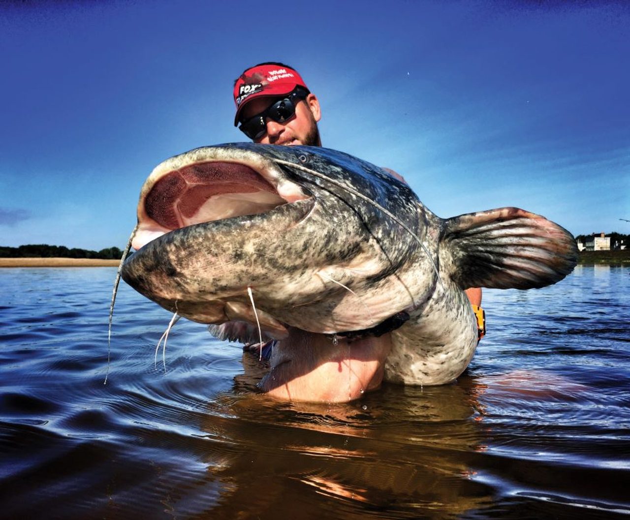 Jak na sumce ze břehu pomocí trhací bójky nebo podvodního splávku