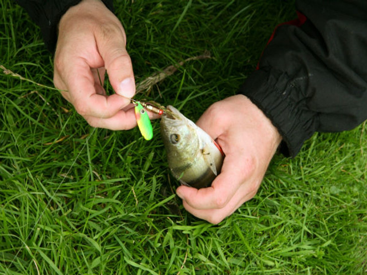 5 kroků, jak se připravit na úspěšný jarní rybolov