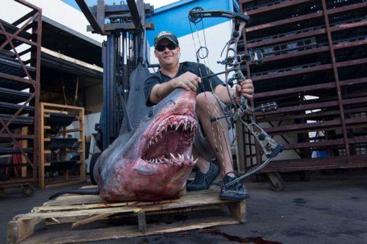 Nový světový rekord žraloka mako aneb 366 kg vážící obr ulovený lukem a šípem
