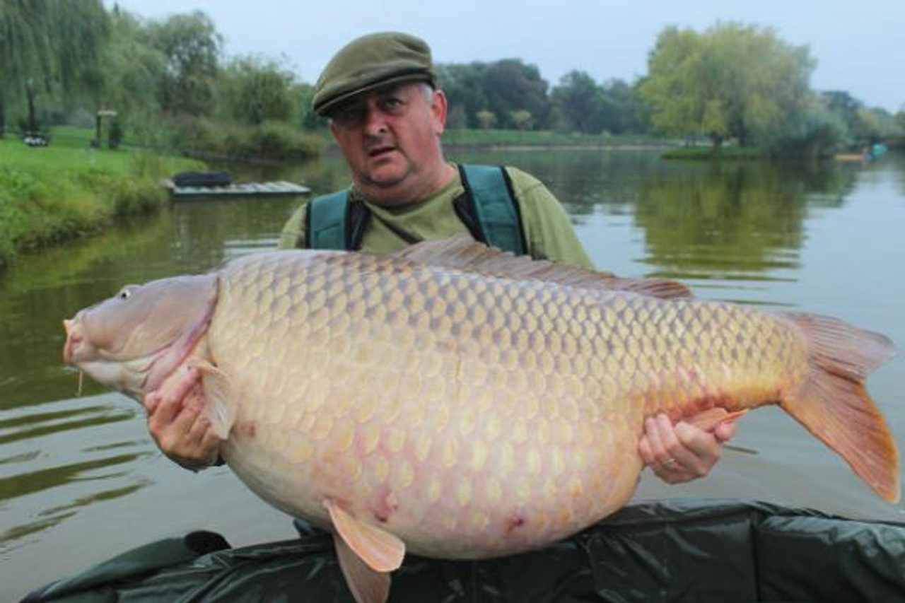 Nový svetový rekord šupináča z maďarského jazera Aqua alebo 40 kg rybárskeho šťastia pre britského rybára