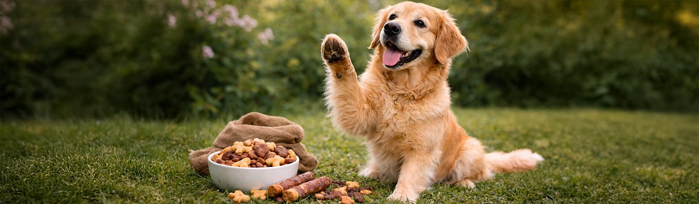 Pečené sušienky a tréningové maškrty