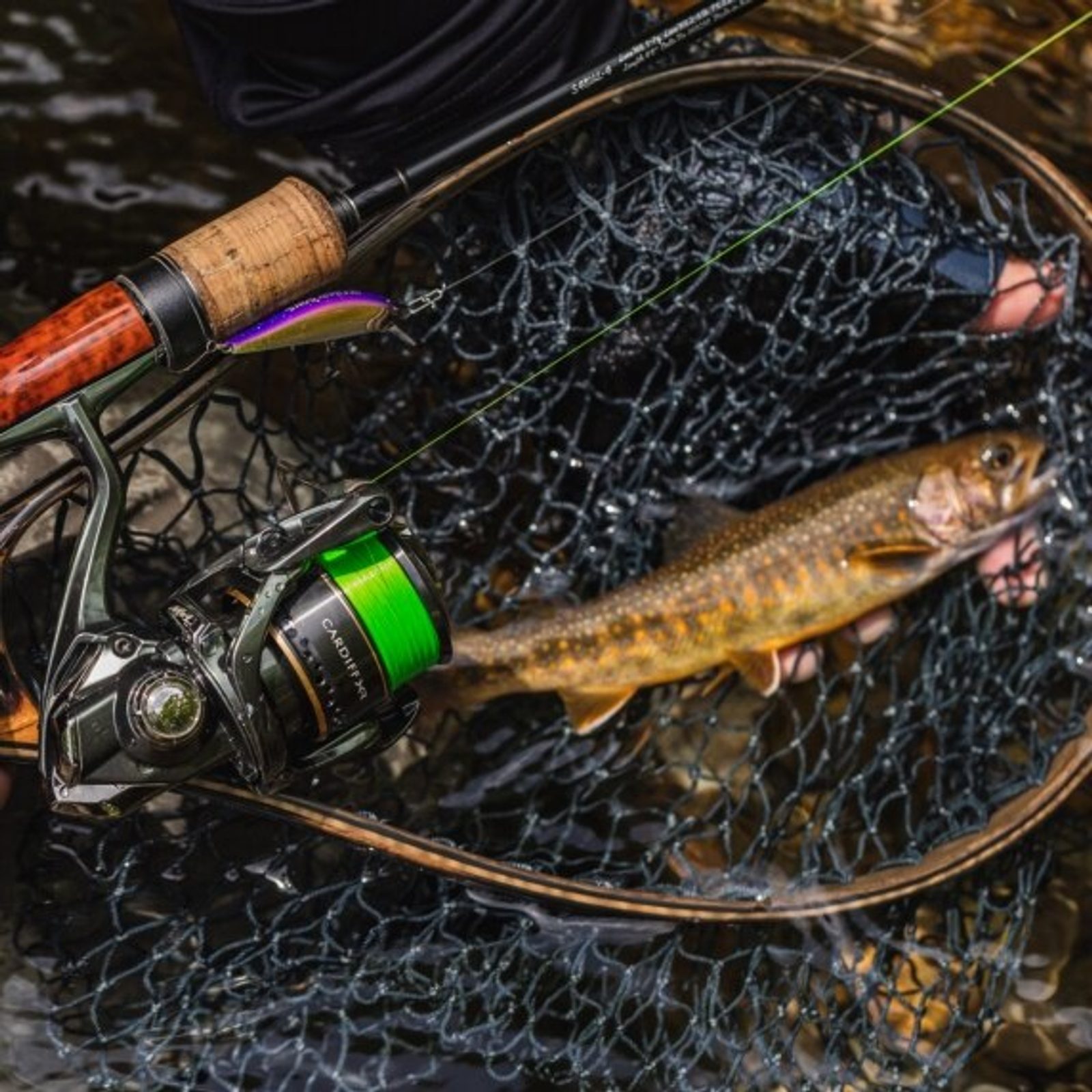 Moulinet Toupie Haut De Gamme Shimano Cardiff XR C2000S HG - Neuf
