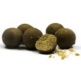 Trvanlivé boilies na kapry