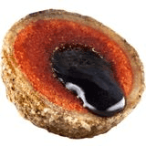 Obalované boilies na kapry