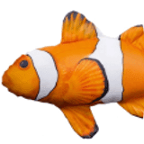 Rybaření pro děti