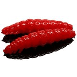 Larvy, červy na pstruhy