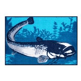 Doplňky pro sumcaře