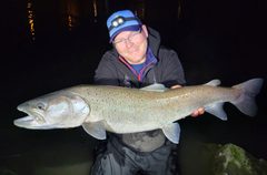 Hlavátka podunajská