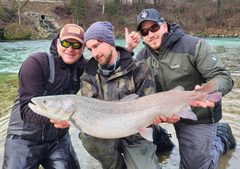 Hlavátka podunajská