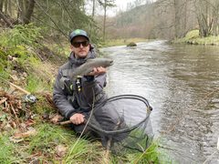 Pstruh potočný (jazerná a riečna forma)