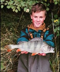 Ostriež zelenkastý