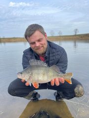 Ostriež zelenkastý