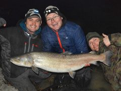 Hlavátka podunajská