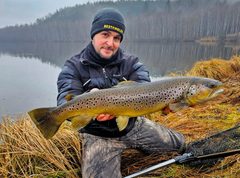 Pstruh potočný (jazerná a riečna forma)