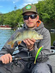 Ostriež zelenkastý