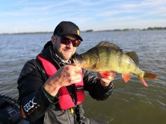 Ostriež zelenkastý