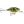Rapala Wobler X-Light Crank Mid Runner 3,5cm 4g