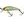 Illex Wobler Chubby Minnow 3,5cm SP