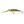 Salmo Wobler Freediver Super Deep Runner 9cm