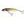 Salmo Wobler Minnow Floating 7cm
