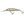 Gunki Wobler Knifehead 7,5cm 9,3g SP DR
