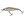 Illex Wobler Squad Minnow SP 6,5cm 5,8g