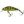 Illex Wobler Chubby Minnow 3,5cm SP