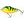 Salmo Wobler Slider Floating 7cm 17g