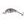 Salmo Wobler Hornet Floating 4cm
