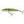 Salmo Wobler Minnow Floating 7cm