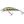 Gunki Wobler Gamera Spot Green Trout