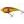 Westin Wobler 2026 Original Swim Glidebait World Cup 12cm 53g