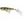 Westin Wobler Spot-on Popper 6,5cm 7g