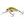 Salmo Wobler Hornet Floating 4cm