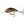 Salmo Wobler Hornet Floating 9cm