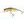 Salmo Wobler Perch Deep Runner 8cm