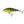 Salmo Wobler Executor Shallow Runner 7cm