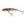 Salmo Wobler Minnow Floating 7cm