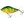 Salmo Wobler Slider Floating 7cm 17g
